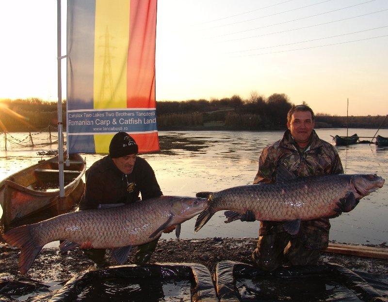 Galerie foto - Populare Tancabesti - Noiembrie 2011